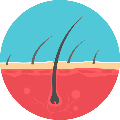 Icon of a hair follicle growing out of skin